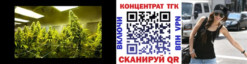 ТГК Wax Стрежевой