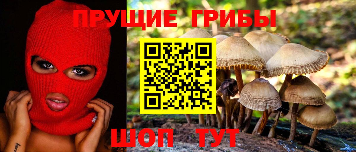 Галлюциногенные грибы GOLDEN TEACHER  Вход с VPN  Галлюциногенные грибы ЛСД  Стрежевой 